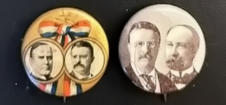 Teddy Roosevelt political Pin
